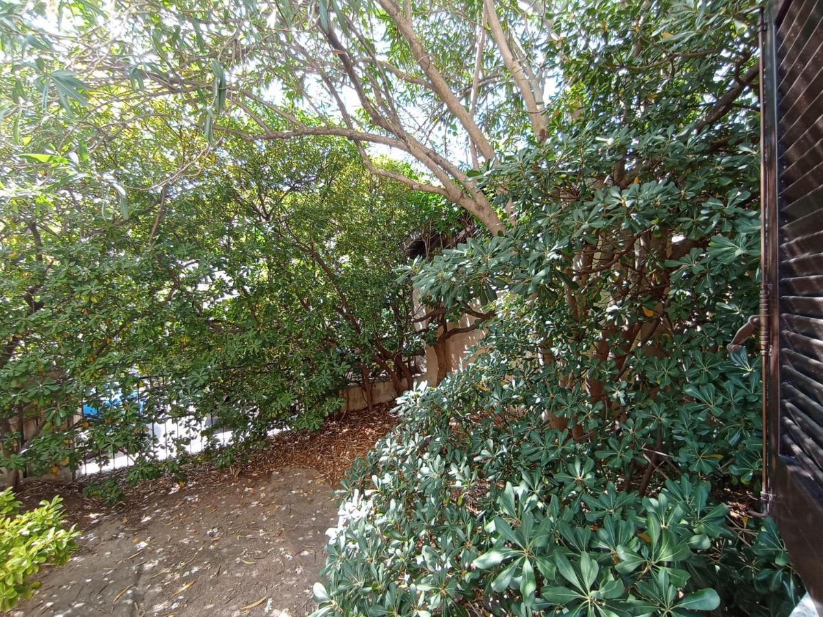 Bed and Breakfast Domus Garden Olbia Exterior foto