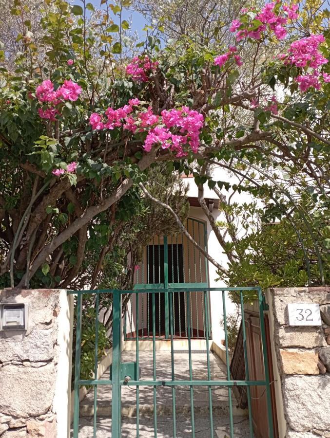 Bed and Breakfast Domus Garden Olbia Exterior foto